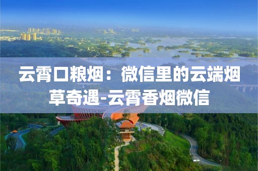云霄口粮烟：微信里的云端烟草奇遇-云霄香烟微信