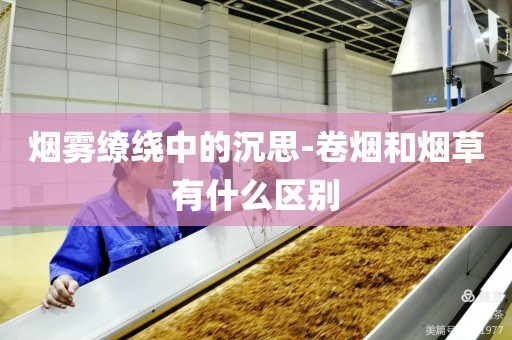 烟雾缭绕中的沉思-卷烟和烟草有什么区别