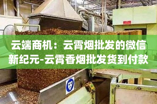 云端商机：云霄烟批发的微信新纪元-云霄香烟批发货到付款