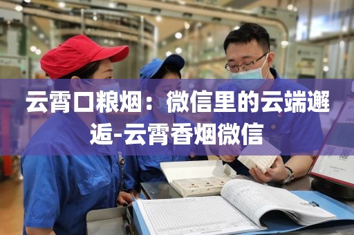 云霄口粮烟：微信里的云端邂逅-云霄香烟微信