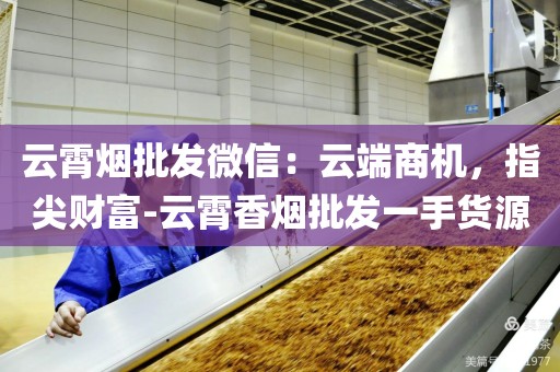 云霄烟批发微信：云端商机，指尖财富-云霄香烟批发一手货源